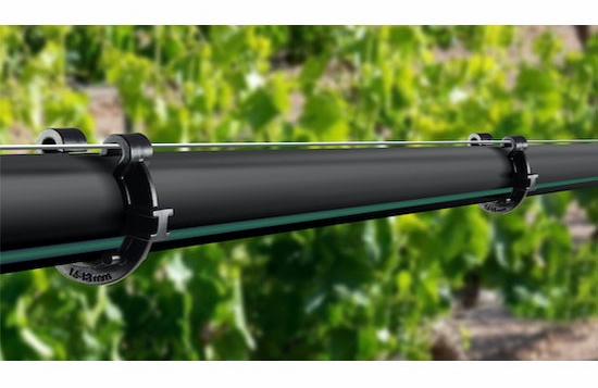 Gallery Image 1 - 4628485