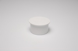 [7641275] 2-1/2 PVC PLUG SPG