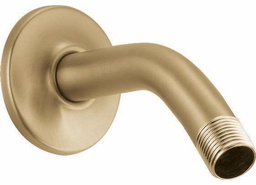 [3063168] Shower Arm and Flange