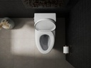Gallery Image 21 - 2909167