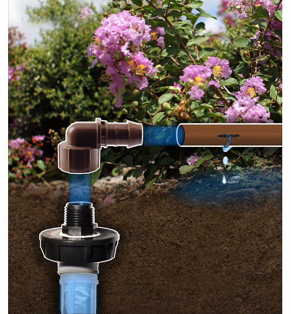 Gallery Image 2 - 4623320