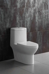 [2530600] Dual Flush One-Piece Toilet