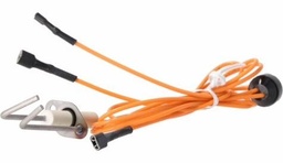 [4815729] Ignitor - Direct Spark Ignition (DSI)